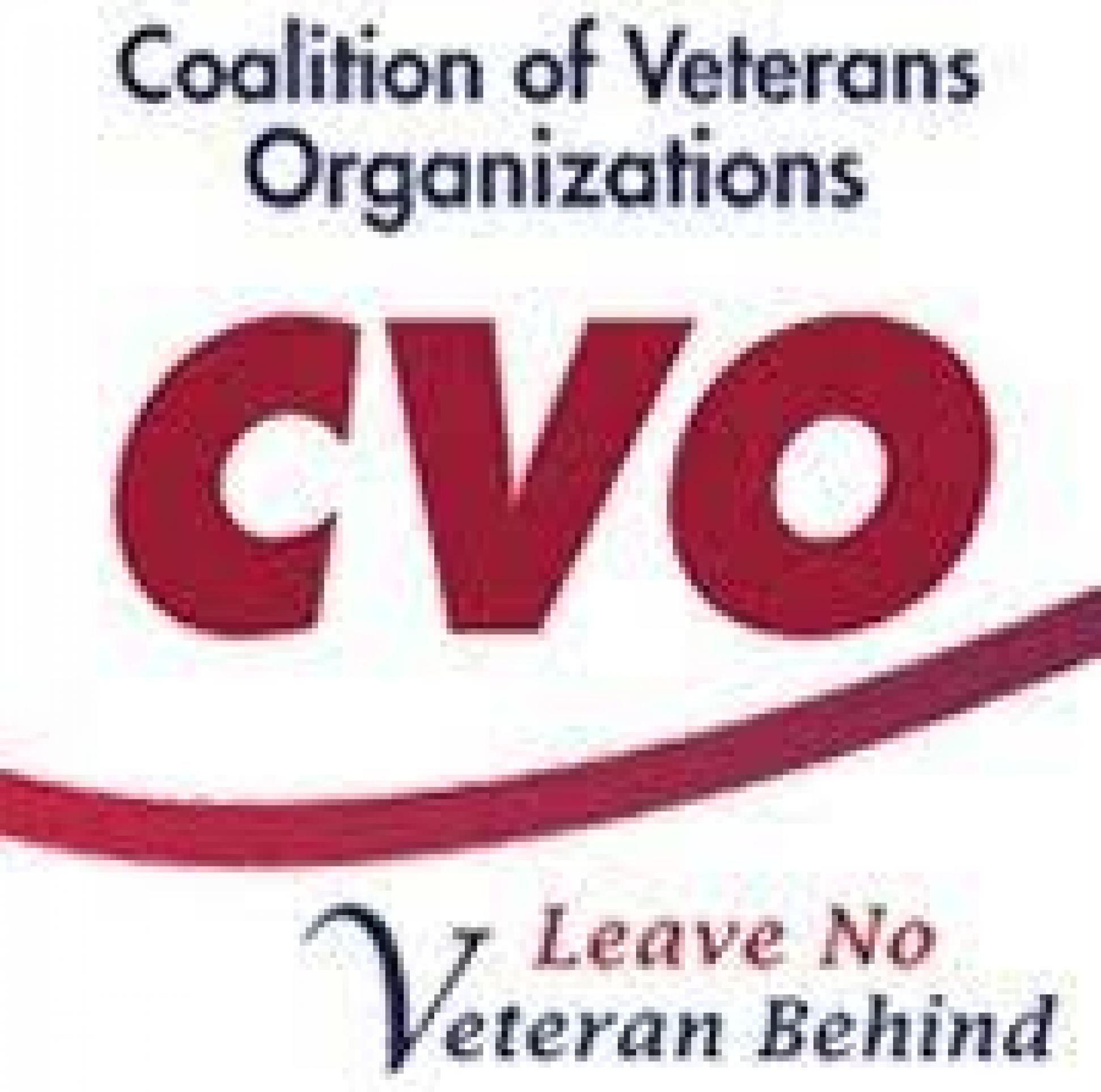 veterans-association-board-member-coalition-of-veterans-organizations